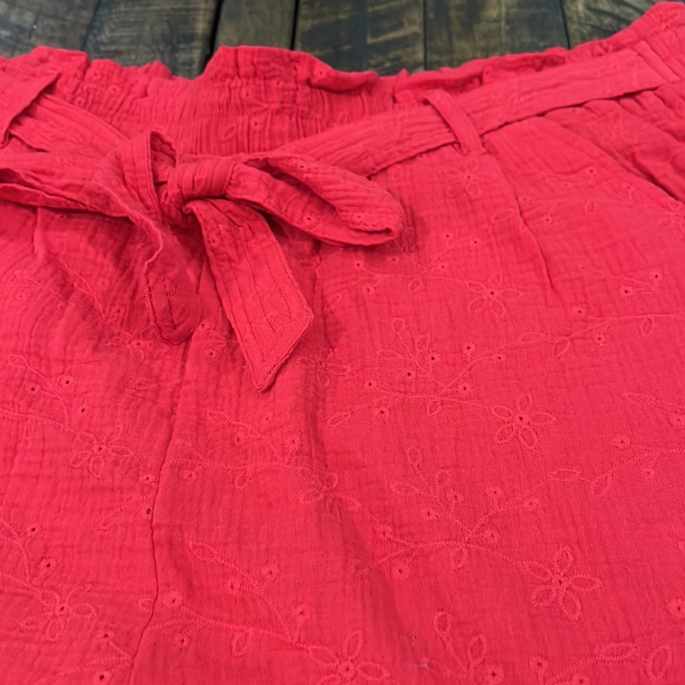 Knox Rose Tie front elastic waist paper pag casual shorts in rebel Red size 2X - Picture 5 of 11